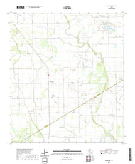 US Topo 7.5-minute map for Danevang TX