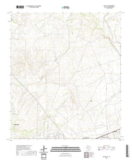 US Topo 7.5-minute map for Del Rio NE TX