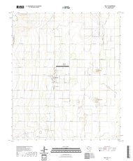 US Topo 7.5-minute map for Dell City TX