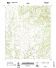 US Topo 7.5-minute map for Desdemona TX