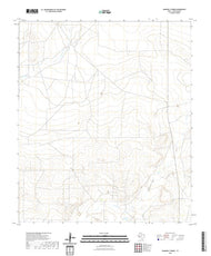 US Topo 7.5-minute map for Diamond Y Spring TX