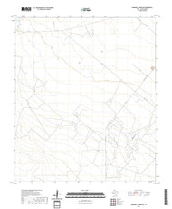 US Topo 7.5-minute map for Diamond Y Spring NE TX