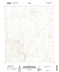 US Topo 7.5-minute map for Diamond Y Spring SE TX