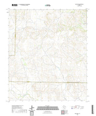 US Topo 7.5-minute map for Dog Creek TX