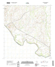 US Topo 7.5-minute map for Dolores Ranch TXTAMNLE