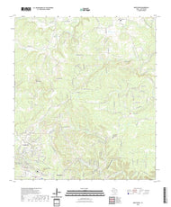 US Topo 7.5-minute map for Driftwood TX