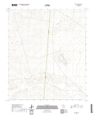 US Topo 7.5-minute map for Dry Lake TX