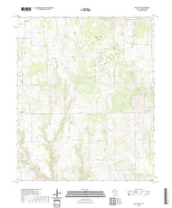 US Topo 7.5-minute map for East Afton TX