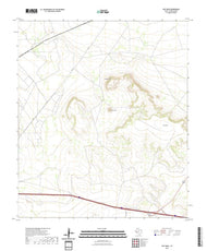 US Topo 7.5-minute map for East Mesa TX