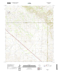 US Topo 7.5-minute map for Forsan TX