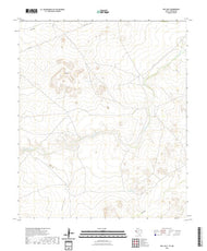 US Topo 7.5-minute map for Owl Hills TXNM