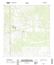 US Topo 7.5-minute map for Palito Blanco TX