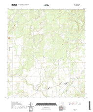 US Topo 7.5-minute map for Quihi TX