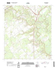 US Topo 7.5-minute map for Raisin TX