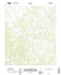 US Topo 7.5-minute map for Ray Lake NW TX
