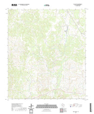US Topo 7.5-minute map for Ray Lake SW TX