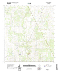 US Topo 7.5-minute map for Ray Point TX
