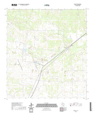 US Topo 7.5-minute map for Realitos TX