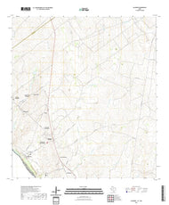 US Topo 7.5-minute map for Salineno TXTAM