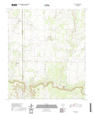 US Topo 7.5-minute map for Salt Gap TX