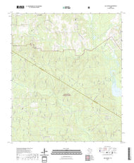 US Topo 7.5-minute map for San Jacinto TX