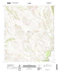 US Topo 7.5-minute map for San Vicente TXCOA