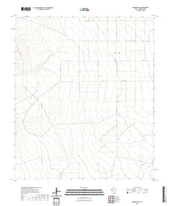 US Topo 7.5-minute map for Saragosa NW TX