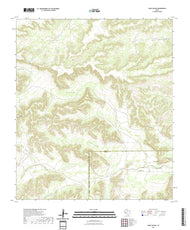 US Topo 7.5-minute map for Toms Canyon TX