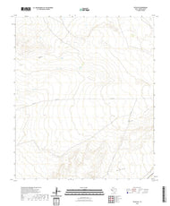 US Topo 7.5-minute map for Toyah SW TX