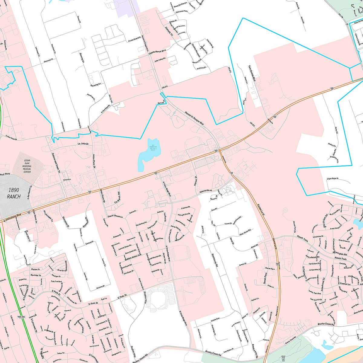Premium Style Wall Map of Cedar Park, TX