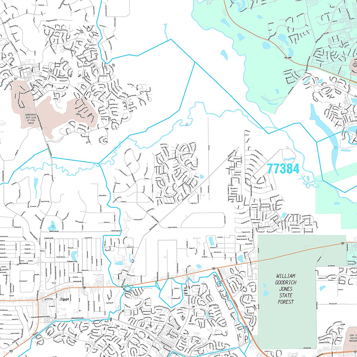 Premium Style Wall Map of Conroe, TX