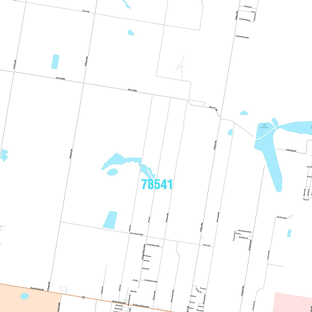 Premium Style Wall Map of Edinburg, TX