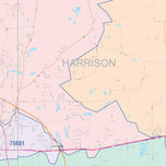Colorcast Zip Code Style Wall Map of Longview, TX