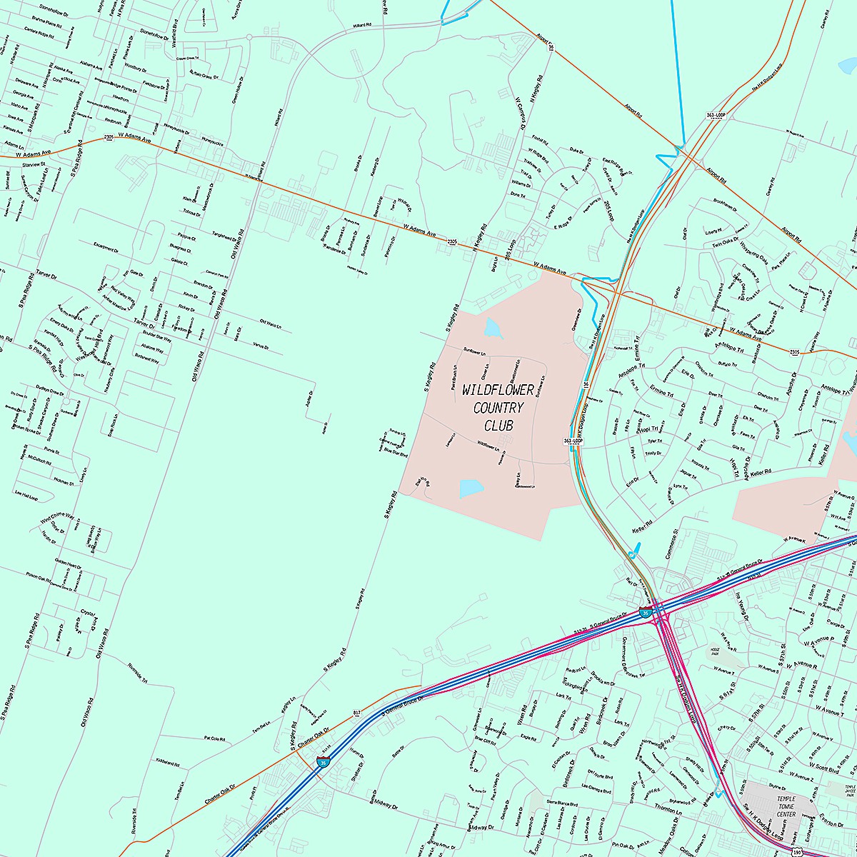 Premium Style Wall Map of Temple, TX