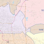 Colorcast Zip Code Style Wall Map of Tyler, TX