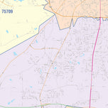 Colorcast Zip Code Style Wall Map of Tyler, TX