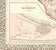 1876 County Map of Texas by S.A. Mitchell