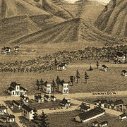 Bird's eye view of Buena Vista Colorado, 1882