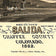 Bird's eye view of Salida, Colorado, 1882