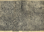 Colorado by the James Caxton Company, 1894