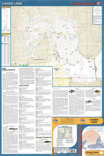 Caddo Lake by Fishing Hot Spots