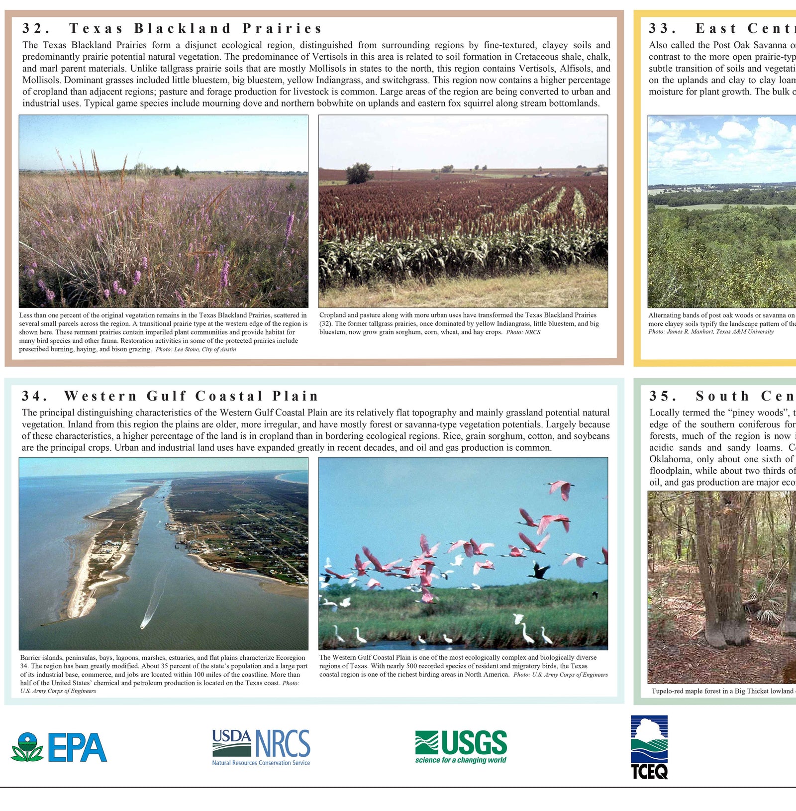 Ecoregions of Texas Poster