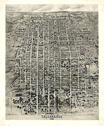 Aero-view of Tallahassee, 1926