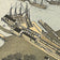 Jacksonville, Florida, 1893