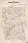 McMullen County 1879, ownership map
