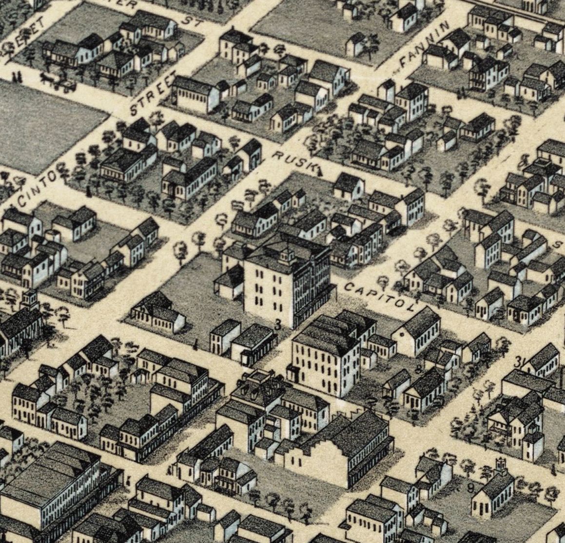 Houston 1873 by Augustus Koch