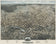 Houston 1873 by Augustus Koch