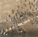 San Marcos 1881 by Augustus Koch