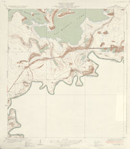 Palmito Hill 1929, USGS