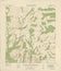 San Lorenzo Creek 1925, US Army Corps of Engineers
